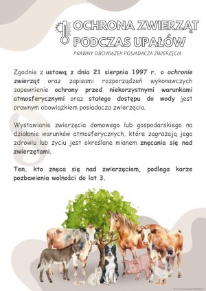 Plakat informacyjny (plik zewnętrzny)
