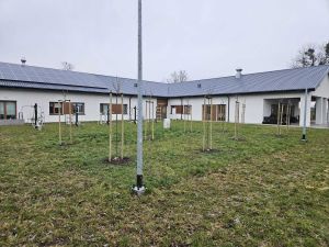 Nowe drzewka w Gronowie