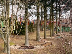 Szkolna ścieżka sensoryczna