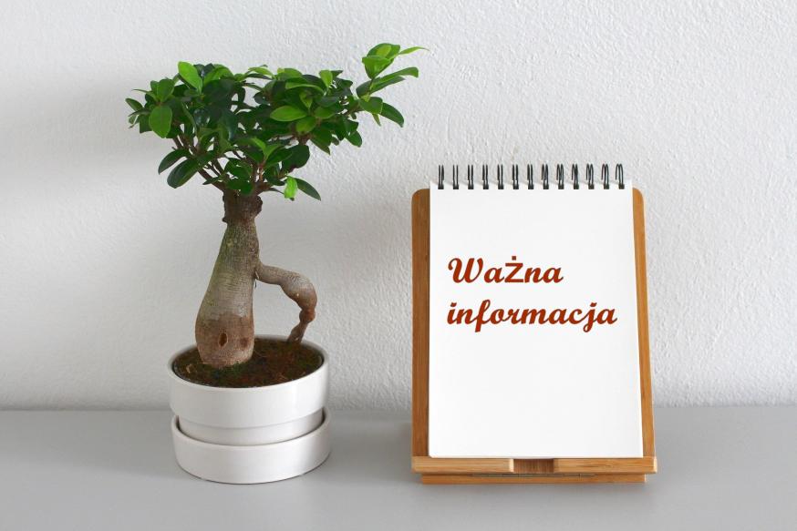 Strategia rozwoju gminy. Ruszają konsultacje!