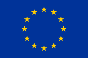 Wybory do Europarlamentu. Wyniki