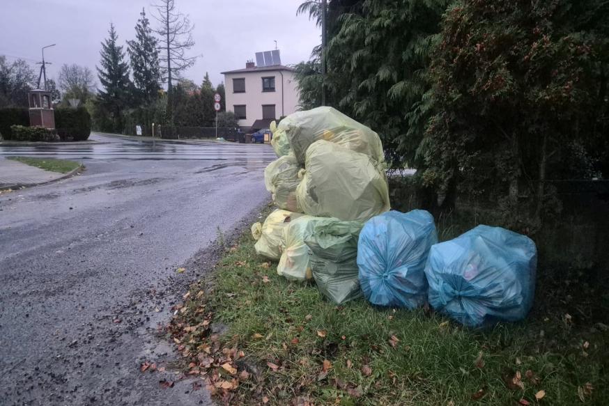 Wywóz odpadów segregowanych w listopadzie