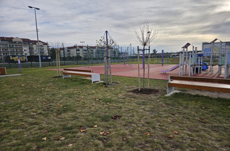 Więcej zieleni, cienia i czystszego powietrza